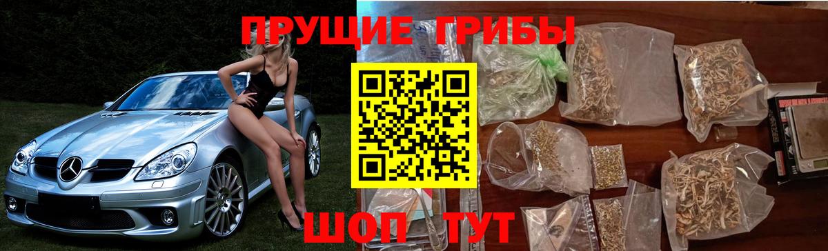 Галлюциногенные грибы MAGIC MUSHROOMS Лесосибирск